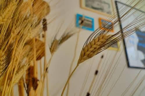 Guesthouse Bosa Di Giuseppe מראה חיצוני תמונה